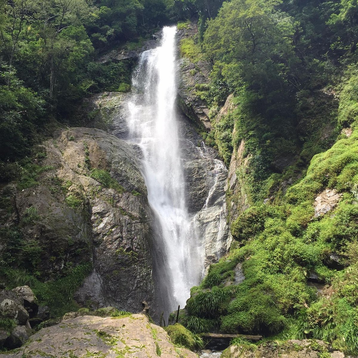 🏞️ 센단토도로 폭포(栴壇轟の滝) 이미지 8
